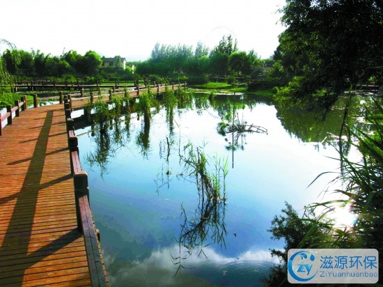 公园湿地建设水处理设备